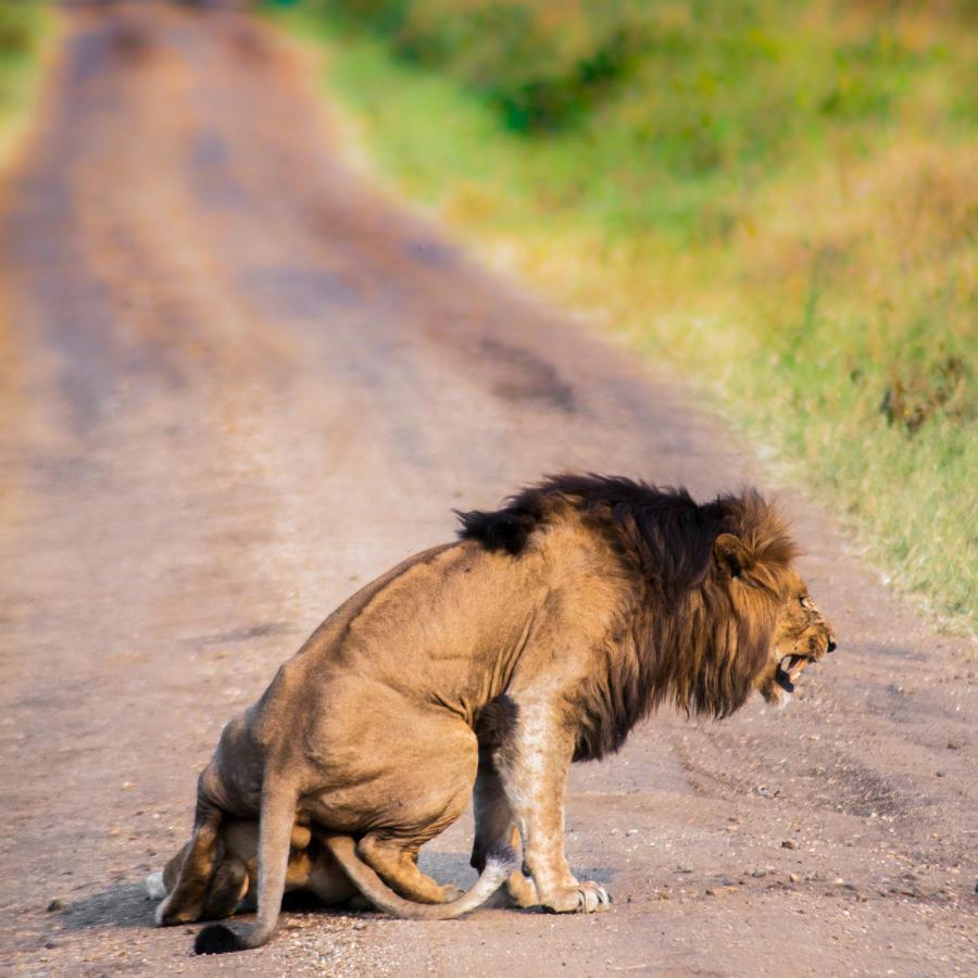 Tilenga Safari Lodge Arua Luaran gambar